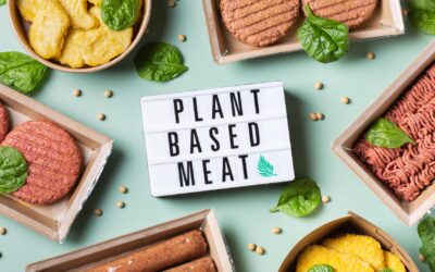 Plant-Based Special Food Recipes for Vegans and Vegetarians